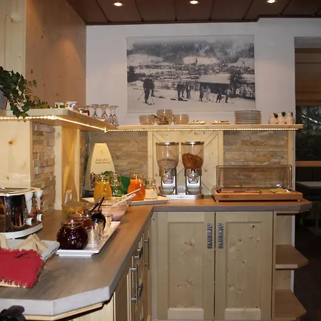 Pensjonat Haus Alexander Schladming